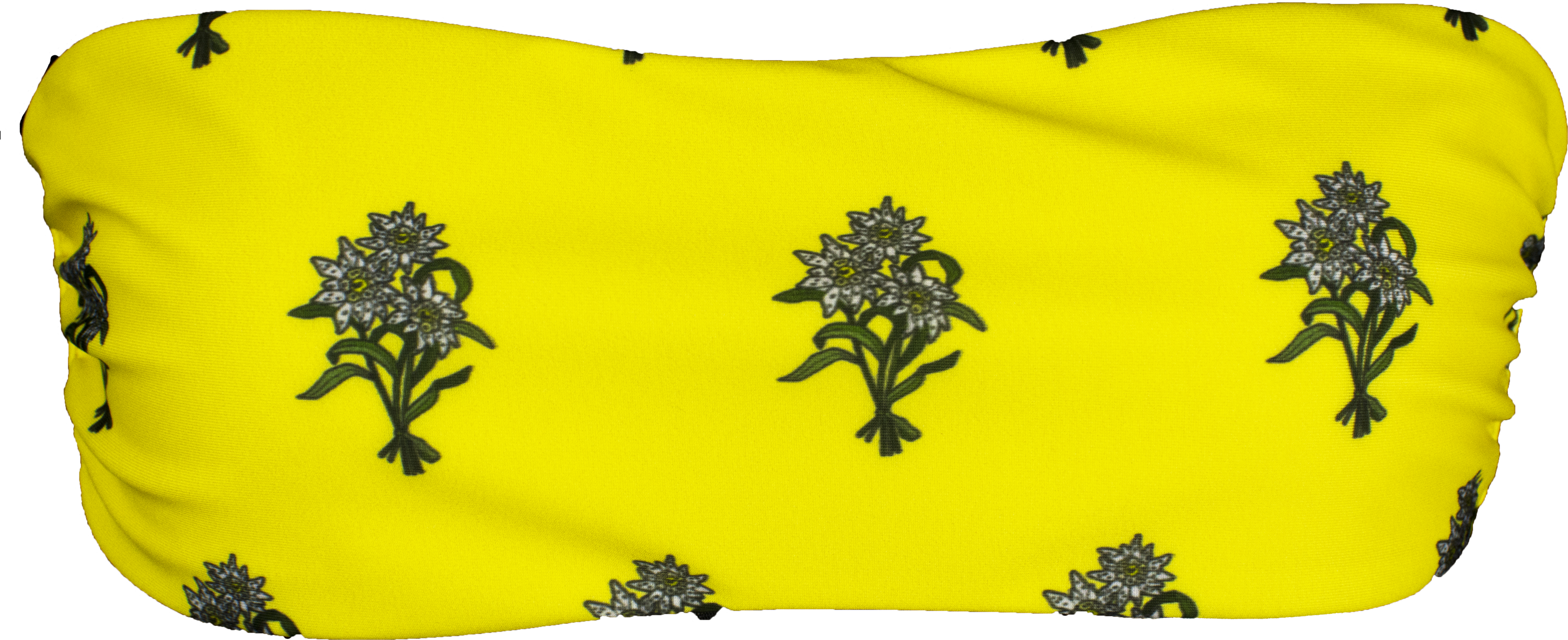 Fascia Stella alpina